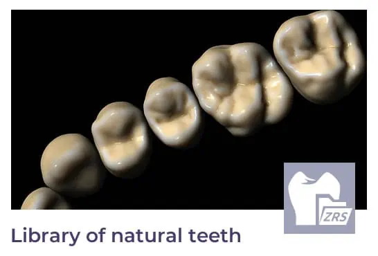 library of natural teeth